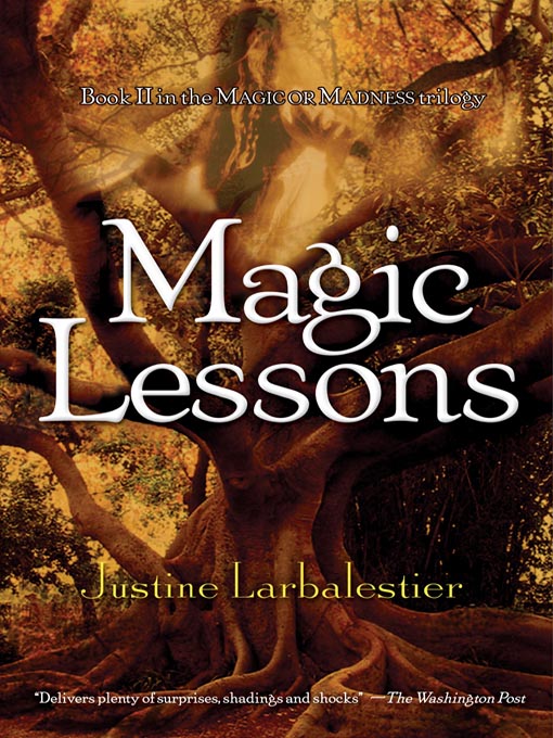 Title details for Magic Lessons by Justine Larbalestier - Wait list